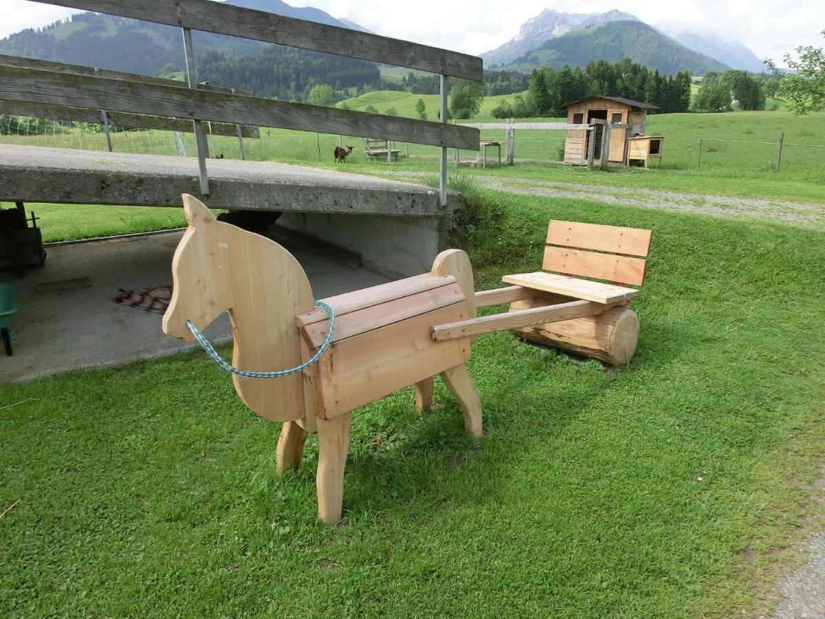 Bio-Bauernhof Bachangerhof Kössen Kültér fotó