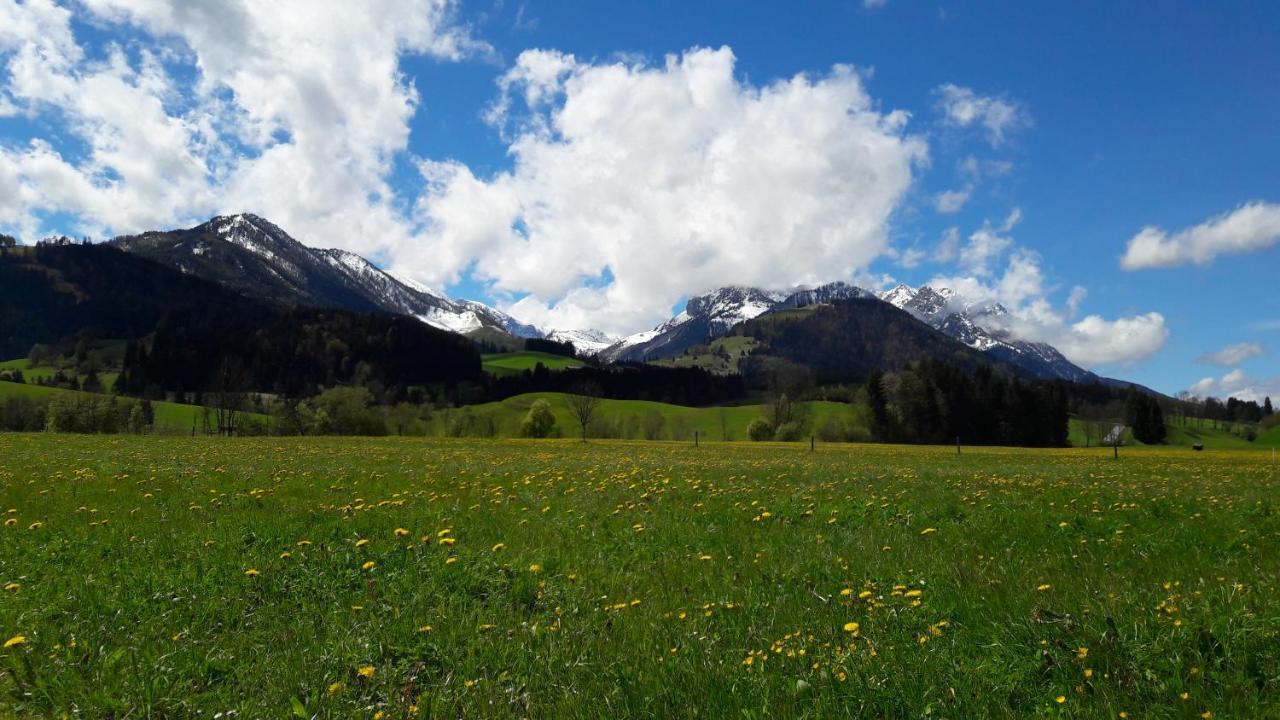 Bio-Bauernhof Bachangerhof Kössen Kültér fotó