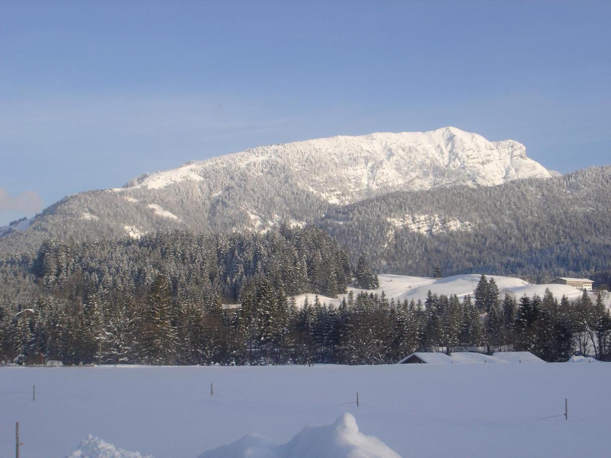 Bio-Bauernhof Bachangerhof Kössen Kültér fotó