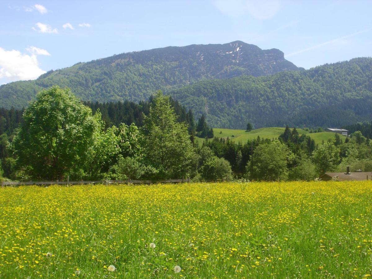 Bio-Bauernhof Bachangerhof Kössen Kültér fotó