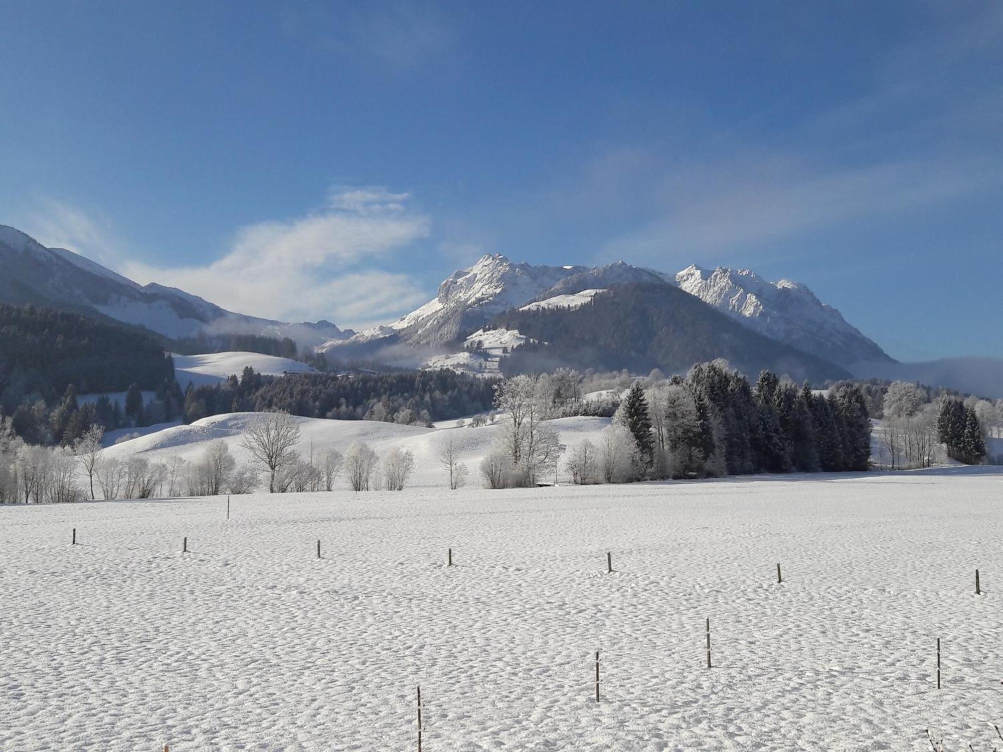 Bio-Bauernhof Bachangerhof Kössen Kültér fotó